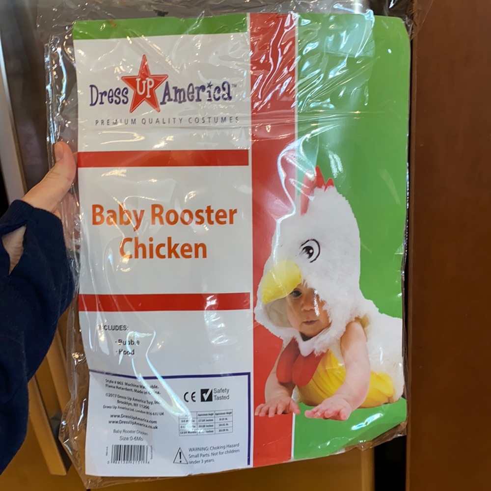 Baby Chicken Costume